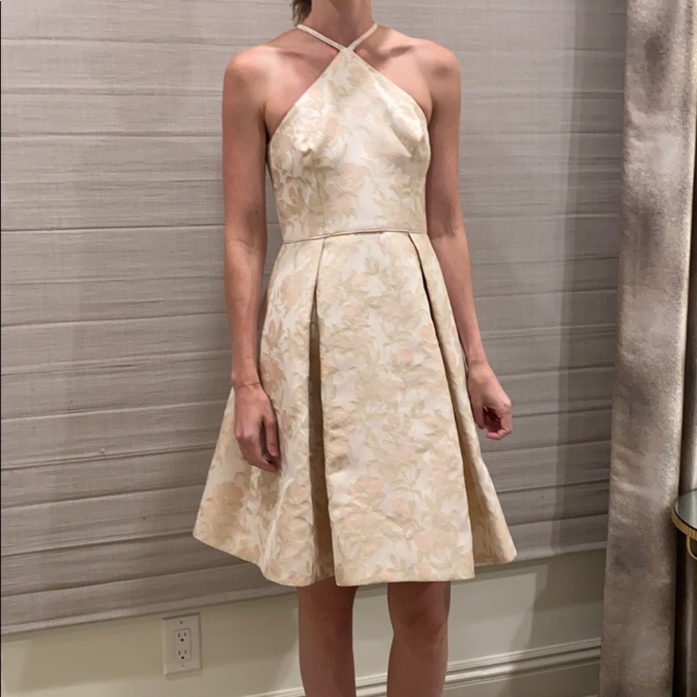 Gal meets glam blush brocade dress
